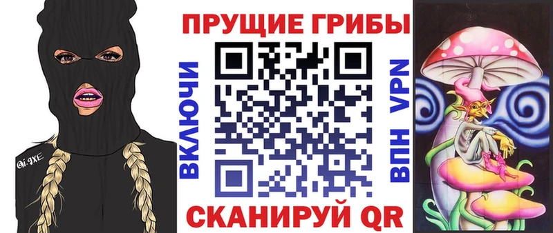 Псилоцибиновые грибы Psilocybe  Купить  Невель 